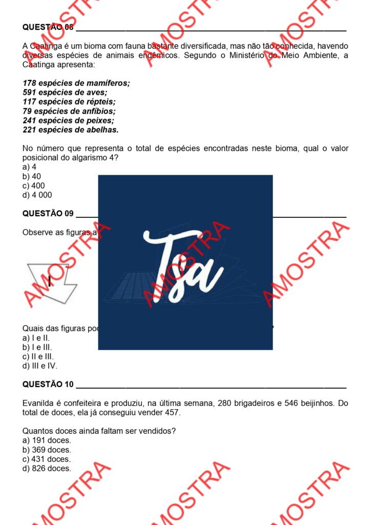 6º ano Matemática_watermark_watermark_page-0003