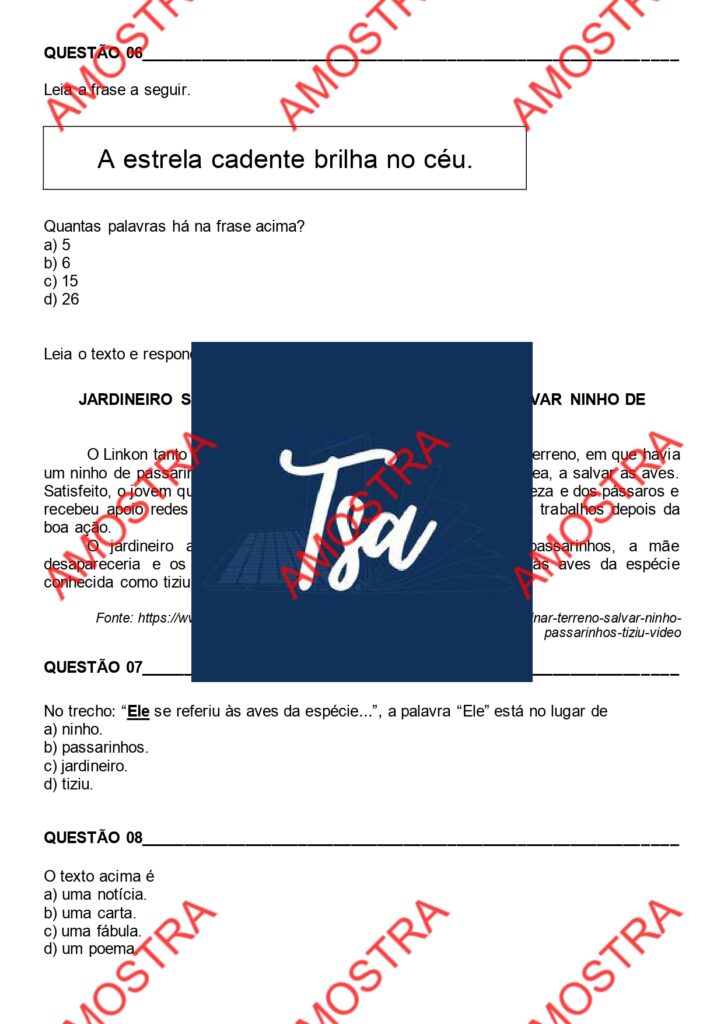 Diagnóstica de Português - 3º ano_watermark_watermark_page-0003